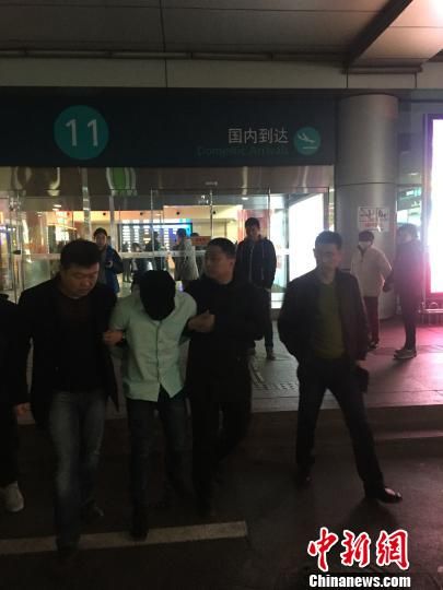 嫌犯被抓捕归案。 杨那 摄